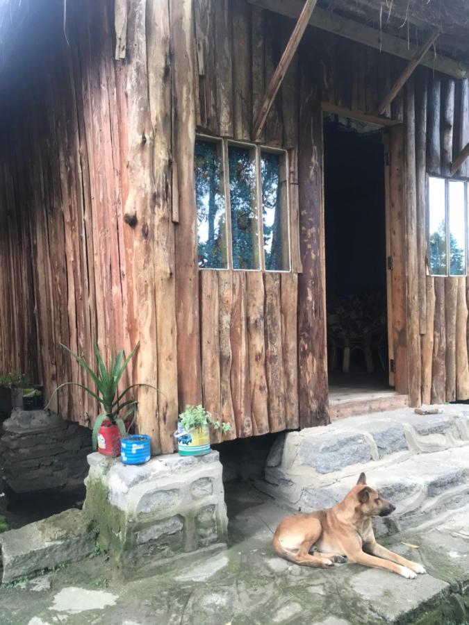 Kalitusi Nature Resort Fort Portal Luaran gambar
