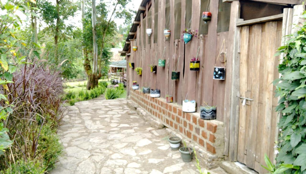Kalitusi Nature Resort Fort Portal Luaran gambar