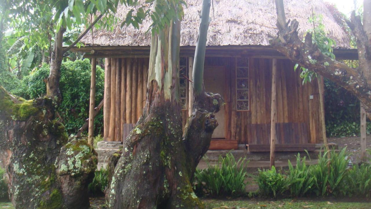 Kalitusi Nature Resort Fort Portal Luaran gambar